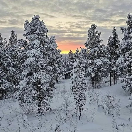 Stylish In Scenic Rafsbotn *